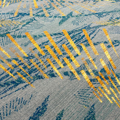 Salón de banquetes Lobby Luxury Fireproof Wool Axminster Alfombra con tamaños personalizados soportados